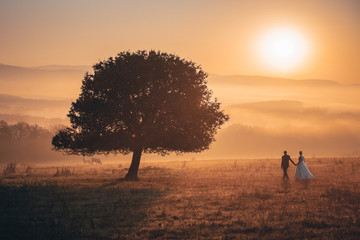 Wedding couple together in beautiful autumn morning nature. Orange sunrise landscape in background