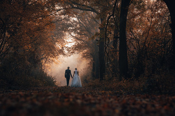 Bride and groom together in dark autumn forest. Wedding photo