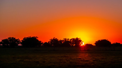Fototapeta na wymiar Orange sunrise in the field