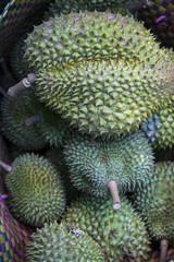 durian fruit