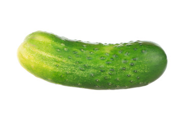 fresh green cucumber isolated on white background