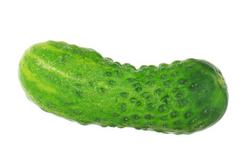 fresh green cucumber isolated on white background
