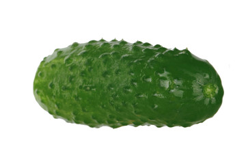 fresh green cucumber isolated on white background