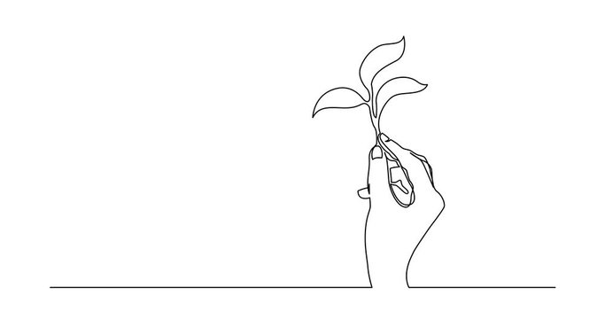 Animation of continuous line drawing of hand holding growing plant