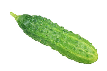 fresh green cucumber isolated on white background
