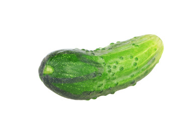 fresh green cucumber isolated on white background