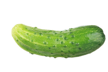 fresh green cucumber isolated on white background