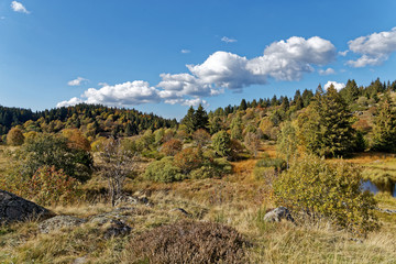 Les Vosges en automne