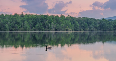 Julian Price Memorial Park, North Carolina, USA - June 14, 2018: Nice sunset at a lake in Julian...
