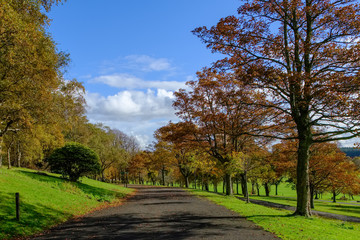Fototapeta na wymiar Autumn Footpath Through Bellahouston Park in Glasgow