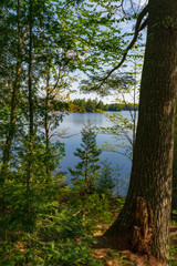 Upper Michigan Lake