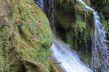 Waterfall Cascada at Vaioaga in national park Cheile Nerei Beusnita - Romania