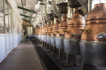 pomace factory with different machinery for use, copper-colored stills