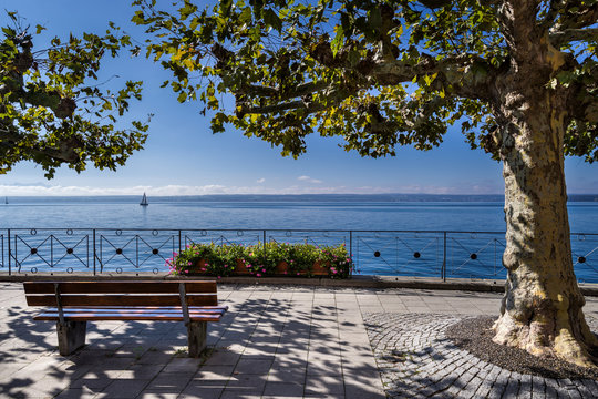 Bodensee Ufer Platane Balustrade Sitzbank sonnig entzerrt