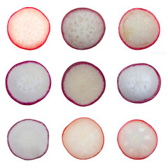 set of slice of radish isolated on white background