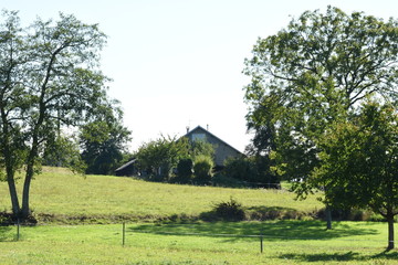 weilanden om een boerderij in de heuvels van de Franse Vogezen 