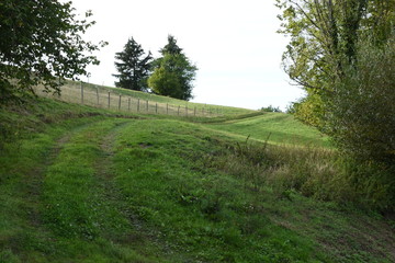 een landweg door de heuvelachtige weilanden van de Vogezen bij Lesseux