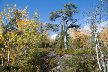 Fototapeta premium Pyhitystunturi autumn