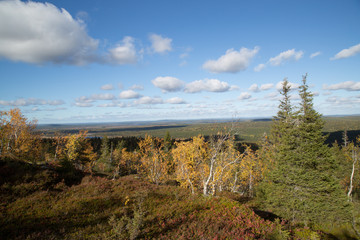 Pyhitystunturi autumn