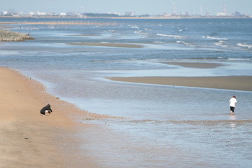 浜辺で遊ぶ人々