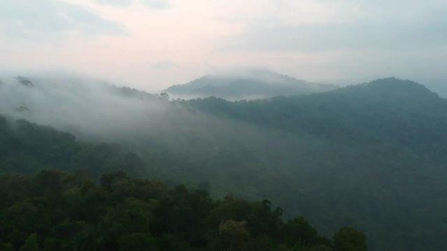 The bird ' s eye view of a viewpoint of the Prayao Lake in North of Thailand, the wilderness threes on the moutains in the morning the is covered by the sea of fog till can not see anything below. 