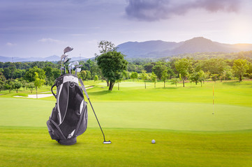 Golf equipment and golf bag , putter, ball on green and golf course as background.