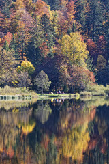Forêt des Vosges en automne