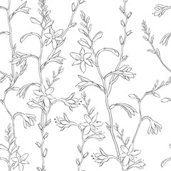 Fototapeta na wymiar Seamless floral pattern with montbretia. Vector outline monochrome illustration on a white background.