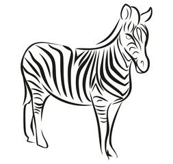 Набросок зебры.