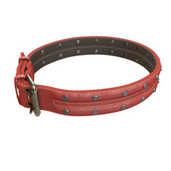 doggy leather collar on an isolated white background. 3d illustration
