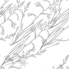 Seamless floral pattern with montbretia. Vector outline monochrome illustration on a white background.