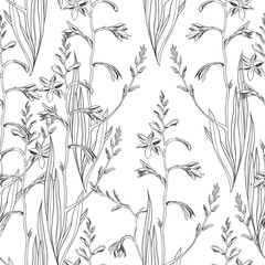 Seamless floral pattern with montbretia. Vector outline monochrome illustration on a white background.