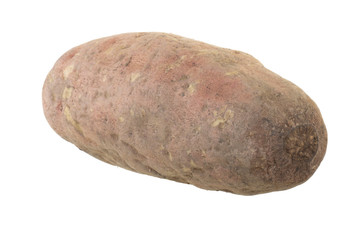 sweet potato isolated on white background