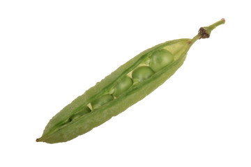 pisum pods isolated on white background