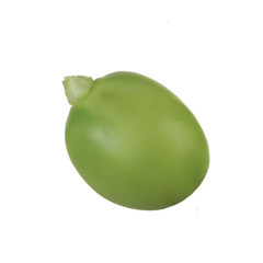 pisum seed isolated on white background