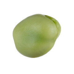 bean isolated on white background