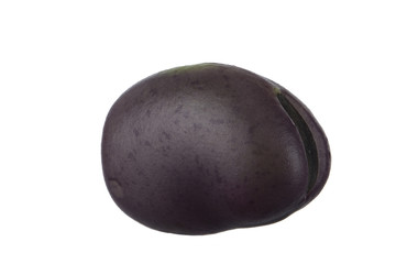 bean isolated on white background
