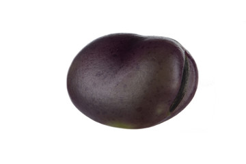 bean isolated on white background