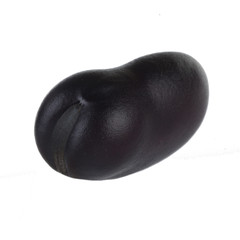 bean isolated on white background