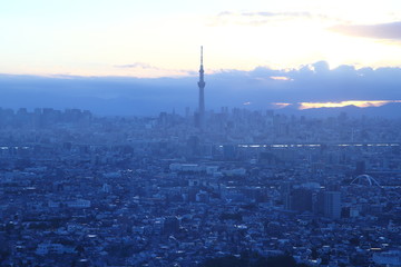 Tokyo city skyline at sunset in Tokyo, Japan.