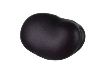 bean isolated on white background
