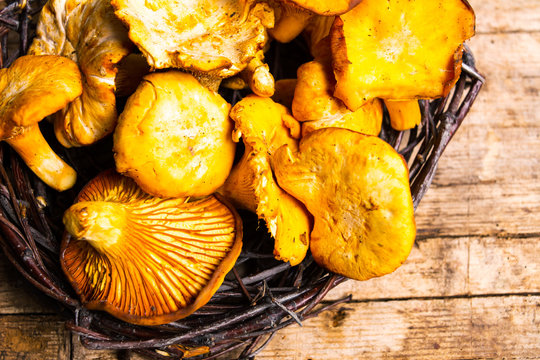 Golden chanterelle mushrooms on a table