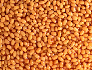 BAKED BEANS