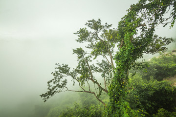 Khao PraYa DernThong Mountain.Lopburi Thailand.Rock on The Mountain in the cloud and fog