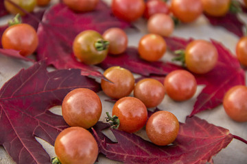 Fresh red ripe autumn cherry tomatoes laying on red mapel leaves on a background of an old cement table