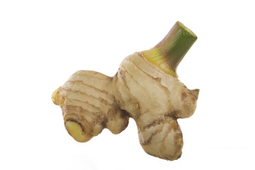root of ginger isolated on white background