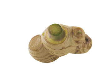root of ginger isolated on white background