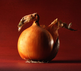 ONION