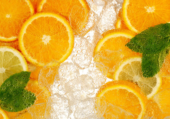 ORANGE & LEMON SLICES