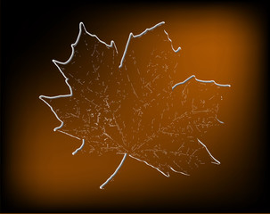 silhouette of the maple leaf